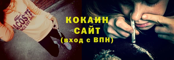 спайс Богданович