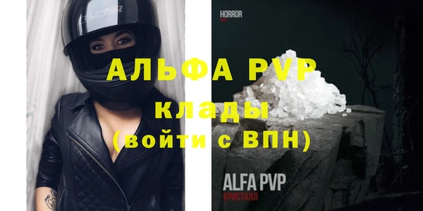 спайс Богданович