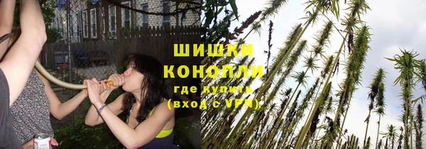 ешки Бронницы