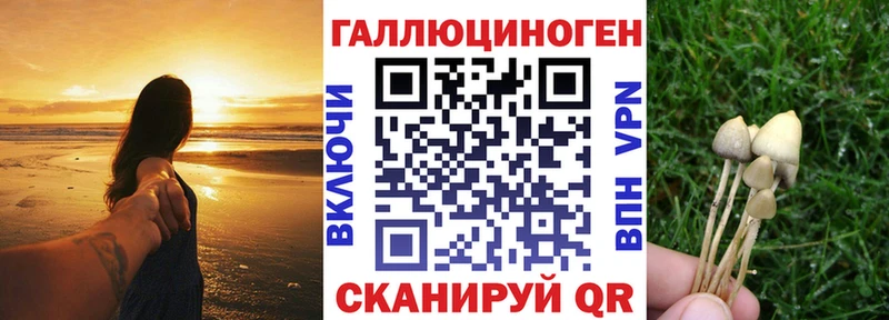 это как зайти  Белая Калитва  Галлюциногенные грибы Cubensis  наркотики 